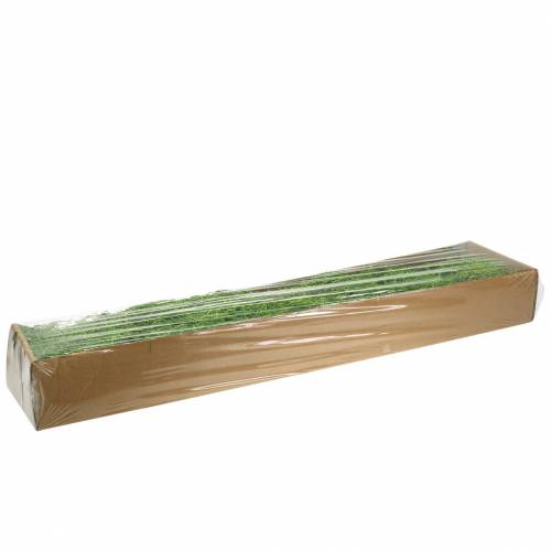 Floristik24 Jungle moss spring green 250g