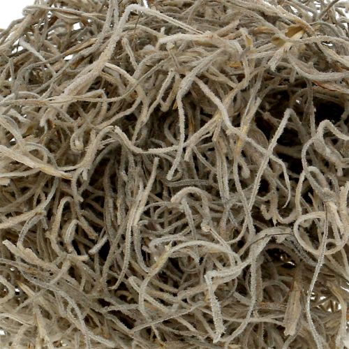 Floristik24 Jungle moss natural 250g