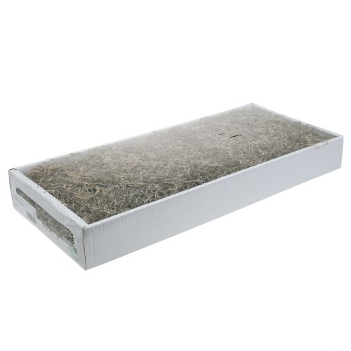 Floristik24 Jungle moss natural 250g