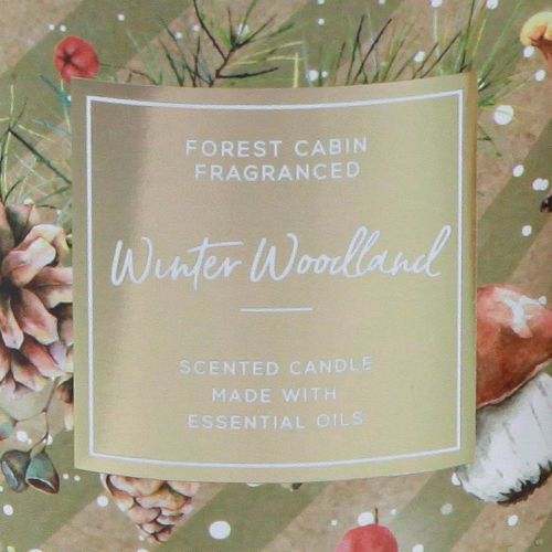 Floristik24 Scented Candle Winter Woodland Candle in Glass Ø9.5cm H10.5cm