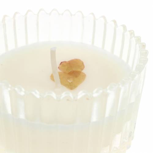 Floristik24 Scented candle &quot;Festive Fruits and Vanilla&quot; Ø6.5cm H9cm