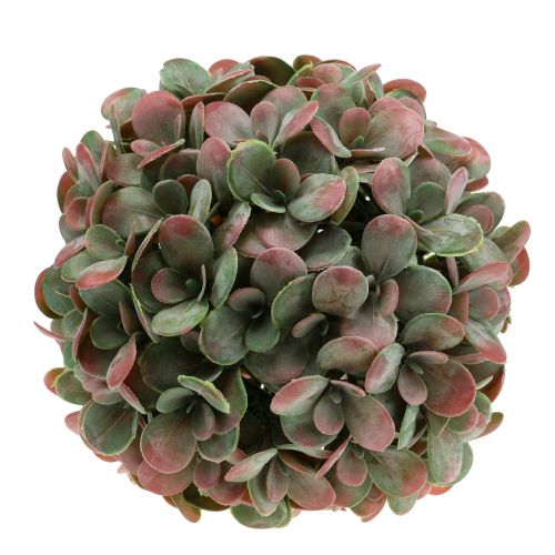 Floristik24 Echeveria ball artificial green, red Ø22cm