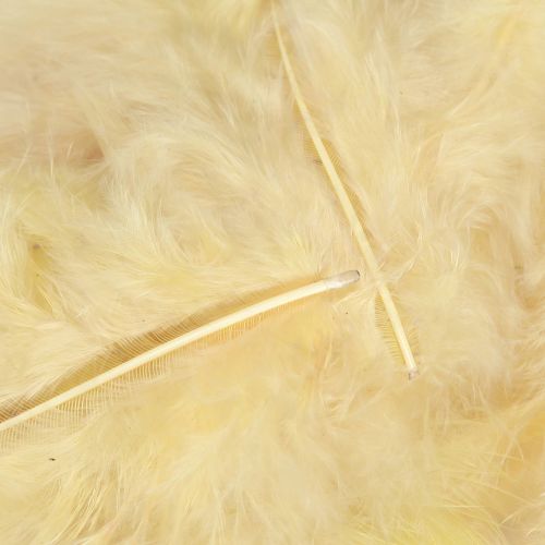 Product Real feathers for crafting in light yellow 5cm – 10cm 20g