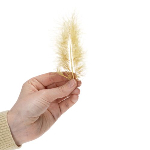 Product Real feathers for crafting in light yellow, 5cm – 10cm, 20g