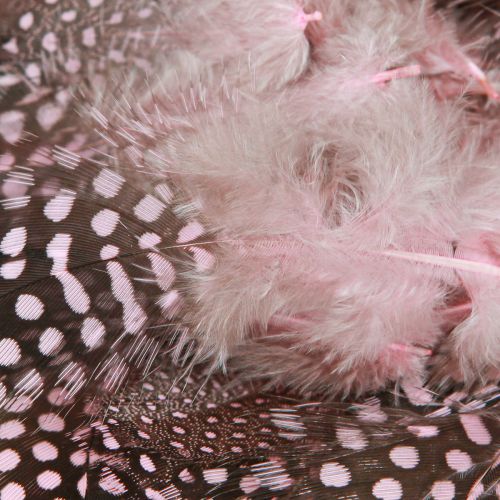 Product Real Guinea Fowl Feathers Pink with Dots 4-12cm 100 Pcs