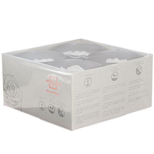 Floristik24 Real rose heads Infinity Roses White Premium Ø8.5cm 4 pcs