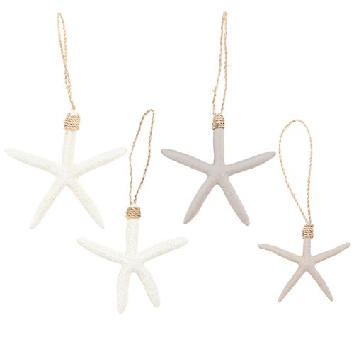 Floristik24 Real starfish decoration maritime pendant gray white 10-14cm 4pcs