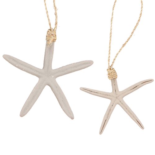 Floristik24 Real starfish decoration maritime pendant gray white 10-14cm 4pcs