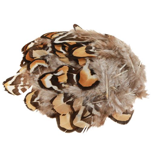 Real bird feathers decorative feathers striped 3-4cm 60 pcs