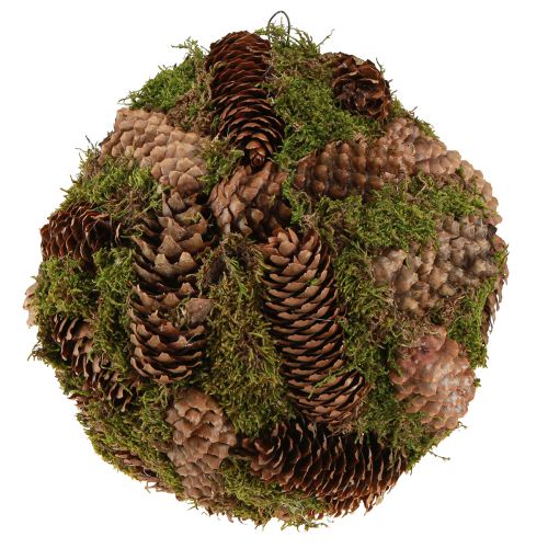 Product Real cones decorative ball with moss natural decoration Ø25cm H25cm