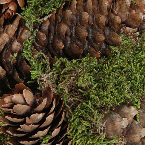 Product Real cones decorative ball with moss natural decoration Ø25cm H25cm