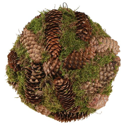 Product Real cones decorative ball with moss natural decoration Ø25cm H25cm