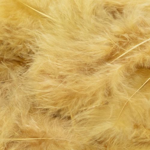 Product Real feathers for crafting in light yellow, 5cm – 10cm, 20g