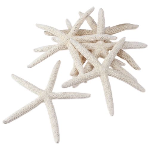Product Real starfish natural decoration maritime Ø16–20cm 10 pcs