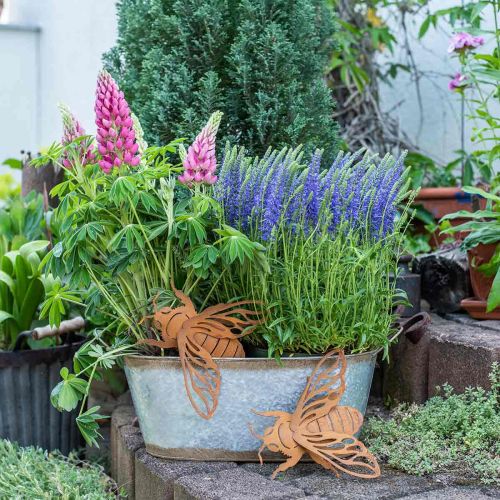 Floristik24 Patina garden decoration bee L15cm