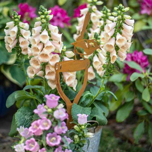Floristik24 Patina garden stake bird on shovel handle H46.5cm
