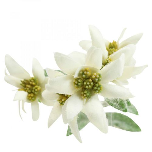 Floristik24 Edelweiss artificial flower white flocked 38cm