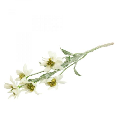 Floristik24 Edelweiss artificial flower white flocked 38cm