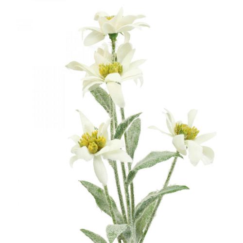 Floristik24 Edelweiss artificial flower white flocked 38cm