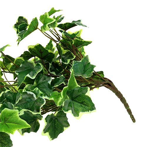 Floristik24 Ivy hanger 80cm white-green