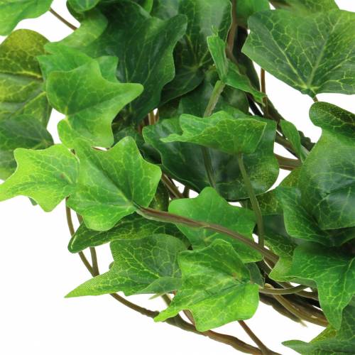 Floristik24 Ivy wreath Ø36cm