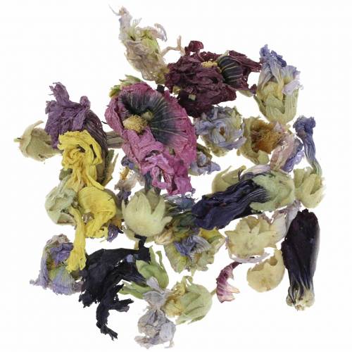 Floristik24 Dry decoration craft set real marshmallow natural 300g flower potpourri