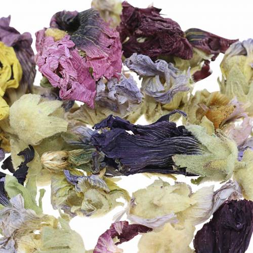 Floristik24 Dry decoration craft set real marshmallow natural 300g flower potpourri