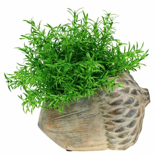 Floristik24 Planter concrete acorn 21.5cm × 14cm H9.5cm