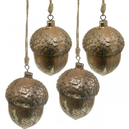 Floristik24 Decorative pendant acorn, autumn fruits, Christmas tree decorations with gold decor H8cm Ø6cm 4pcs