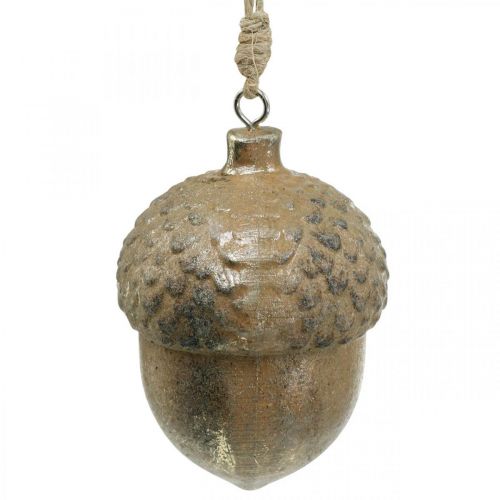 Floristik24 Decorative pendant acorn, autumn fruits, Christmas tree decorations with gold decor H8cm Ø6cm 4pcs