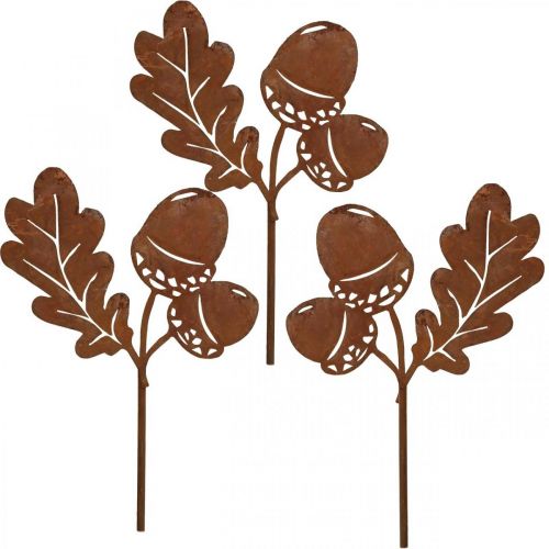 Floristik24 Garden stake acorns with leaf rust metal H19cm 6 pcs