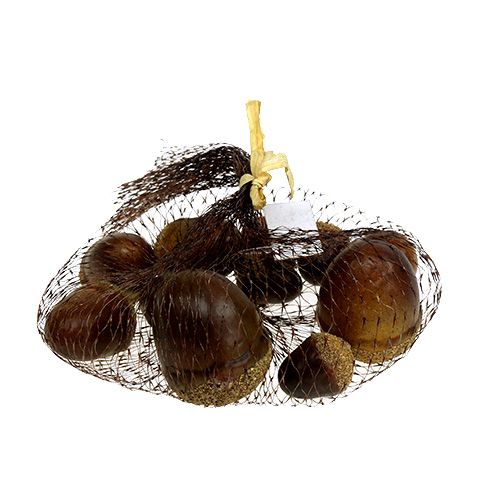 Floristik24 Acorns mixed in a net 12pcs