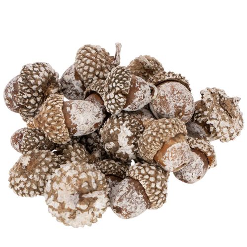 Acorns, natural product for decoration, whitewashed, 1-3cm, 300g