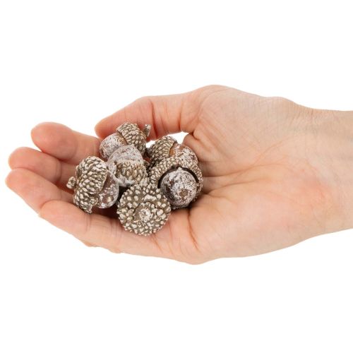 Acorns, natural product for decoration, whitewashed, 1-3cm, 300g | Floristik24.ie