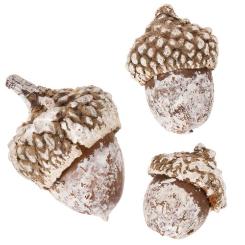 Acorns, natural product for