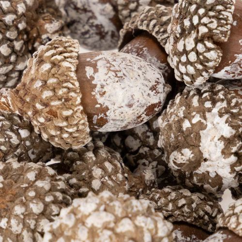 Acorns, natural product for