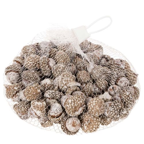 Acorns, natural product for