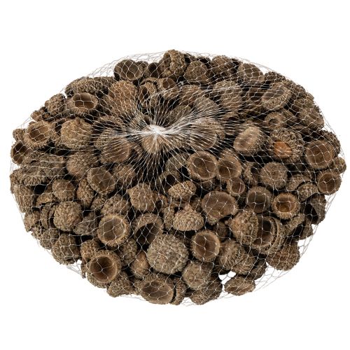 Natural acorn caps, decorative bowls for autumn and Advent, 2cm, 300g | Floristik24.ie
