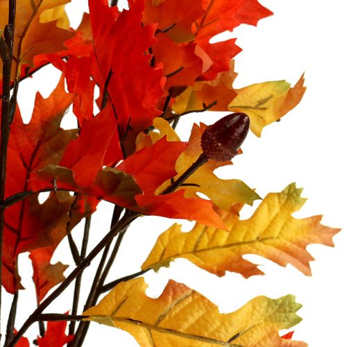 Floristik24 Oak leaf bush orange 56cm