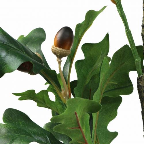 Floristik24 Artificial oak leaf branch with acorns 90cm