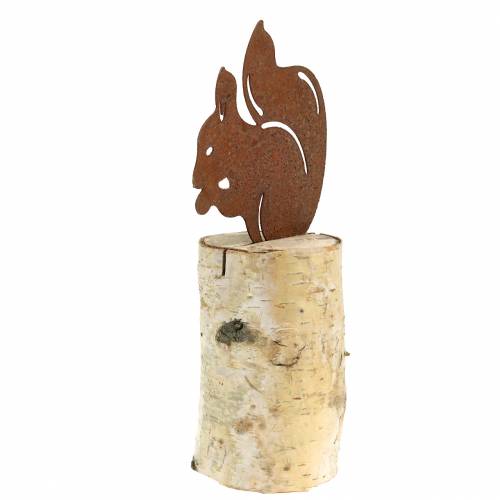 Floristik24 Squirrel patina on trunk H22cm