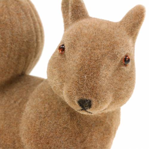 Floristik24 Deco squirrel flocked brown H20cm 2pcs