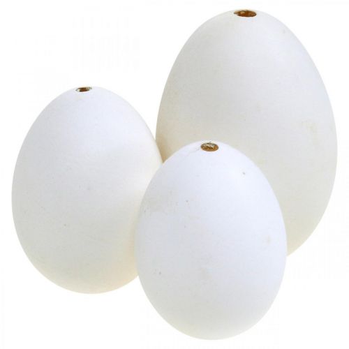 Swan eggs &amp; chicken eggs mix blown out eggs white 5.5/8cm 9pcs