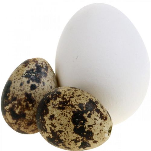 Decoration egg mix quail eggs &amp; chicken eggs Blown-out Easter eggs