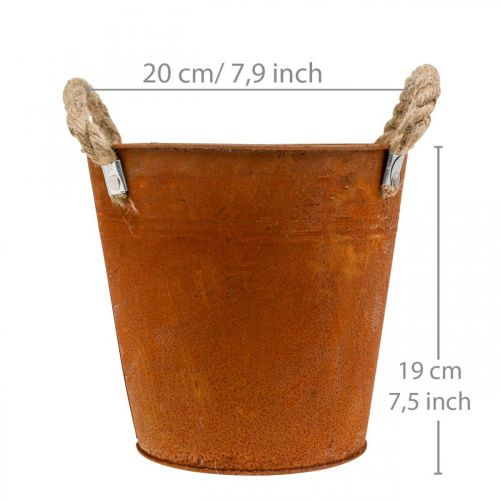 Floristik24 Decorative pot with handles, autumn decoration, metal bowl patina Ø20cm H19cm
