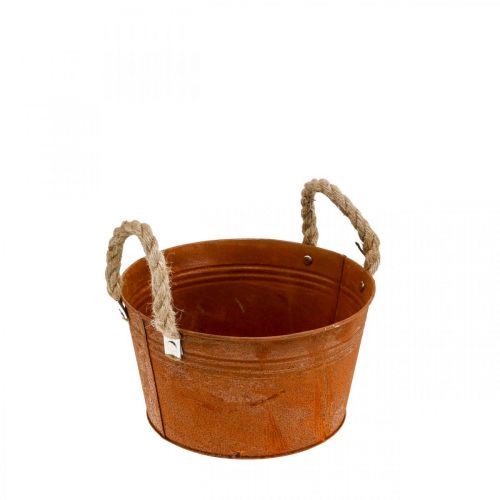 Floristik24 Metal pot with rope handles, plant bowl, autumn, patina Ø22cm H12cm