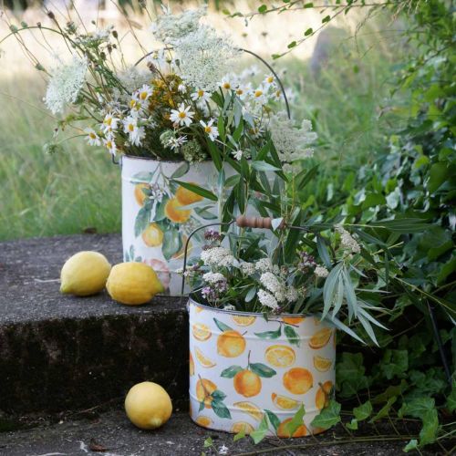 Product Metal pot green-yellow, summer decoration, bucket with handle, Mediterranean lemon motif L28/22.5/cm H23/18/15cm