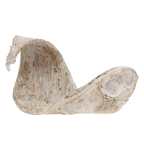 Product Elephant Ear White Washed 25 pcs