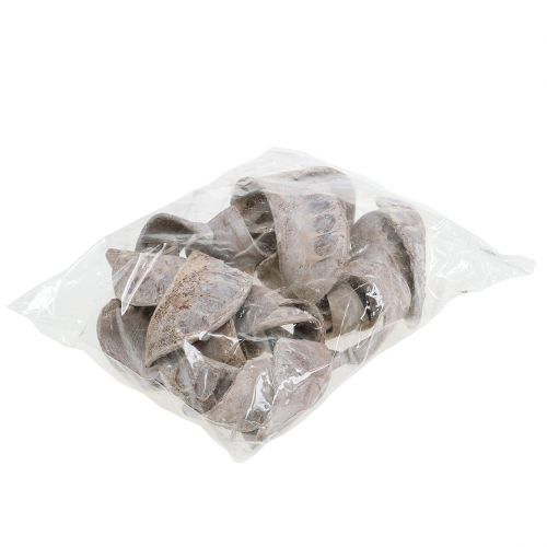 Product Elephant Ear White Washed 25 pcs