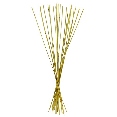 Floristik24 Decorative sticks, Elephant Reed Yellow 20 pcs